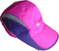 Alpine hat1