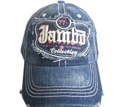 Casual Hat1