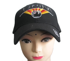 Baseball hat1